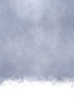 Generic Ice 2 Stains