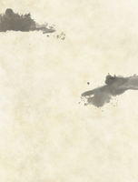 phb_splotches_left-and-right